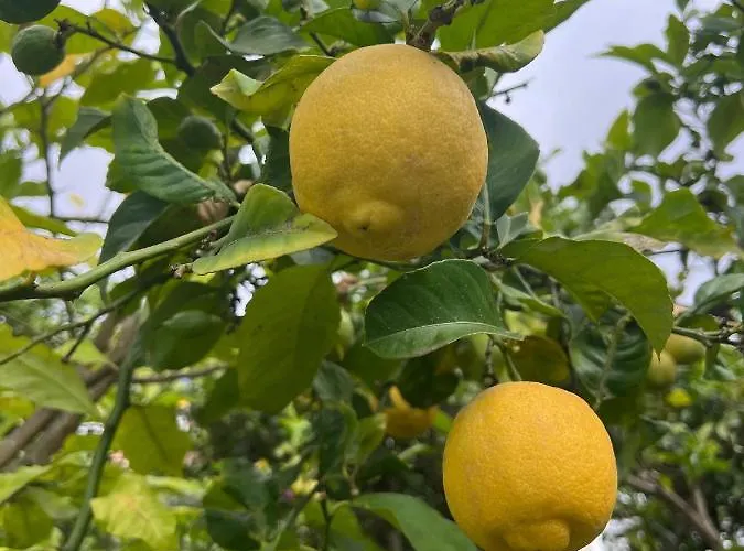 Sun-soaked W Patio, Balcony & Garden - Aguilas Semesterbostad