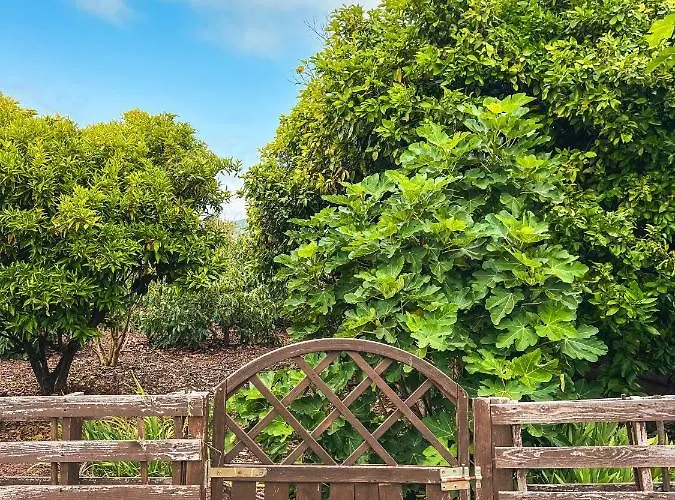Sun-soaked W Patio, Balcony & Garden - Aguilas Semesterbostad *